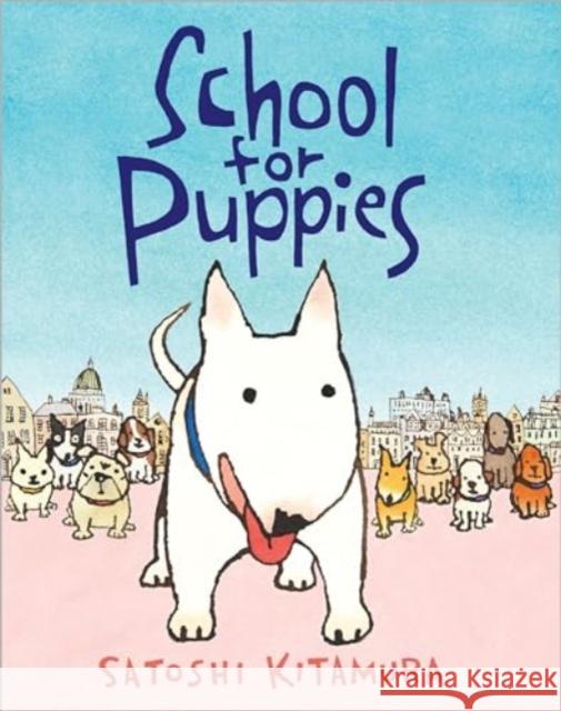 School for Puppies Satoshi Kitamura 9781839133442 Andersen Press Ltd - książka