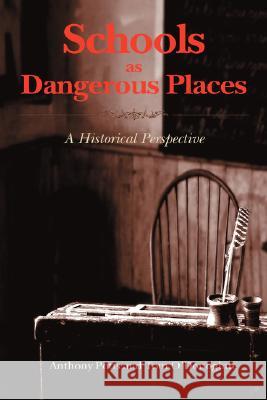 Schools as Dangerous Places: A Historical Perspective Potts, Anthony 9781934043769 Cambria Press - książka