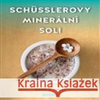 Schüsslerovy minerální soli Günther H. Heepen 9788076511071 Fontána - książka