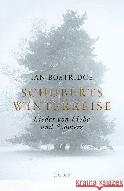 Schuberts Winterreise : Lieder von Liebe und Schmerz Bostridge, Ian 9783406682483 Beck - książka