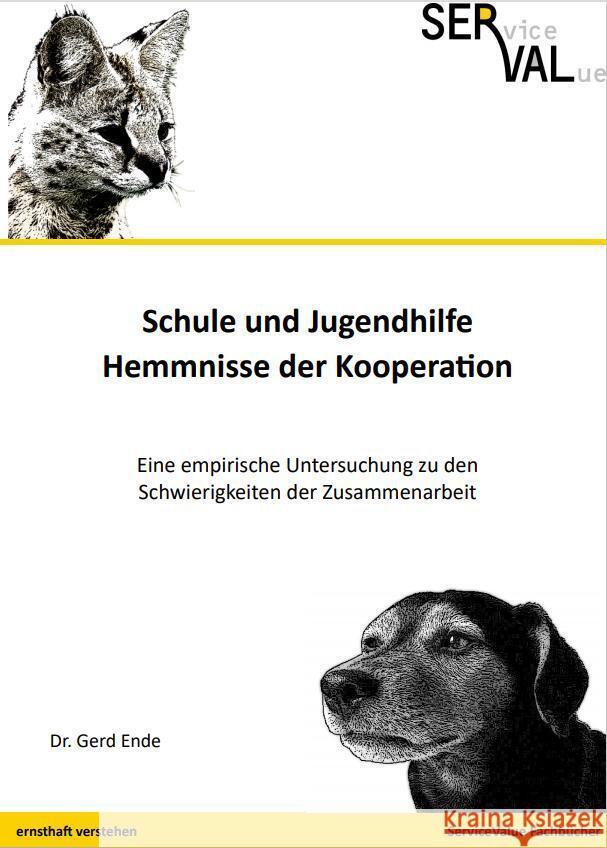 Schule und Jugendhilfe - Hemmnisse der Kooperation Ende, Gerd 9783981625394 ServiceValue Fachbücher - książka