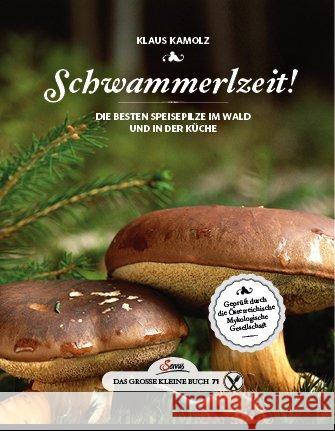 Schwammerlzeit! : Die besten Speisepilze im Wald und in der Küche Kamolz, Klaus 9783710401572 Servus - książka