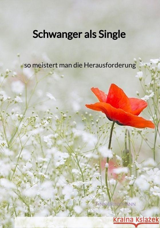 Schwanger als Single - so meistert man die Herausforderung Brinkmann, Finn 9783347996786 Jaltas Books - książka