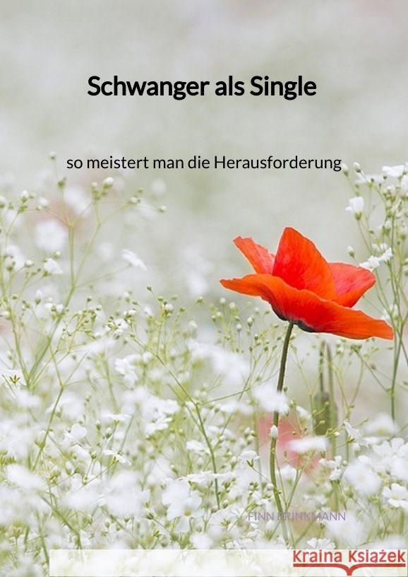 Schwanger als Single - so meistert man die Herausforderung Brinkmann, Finn 9783347996793 Jaltas Books - książka