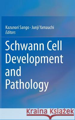 Schwann Cell Development and Pathology Kazunori Sango, Junji Yamauchi 9784431547631 Springer Verlag, Japan - książka