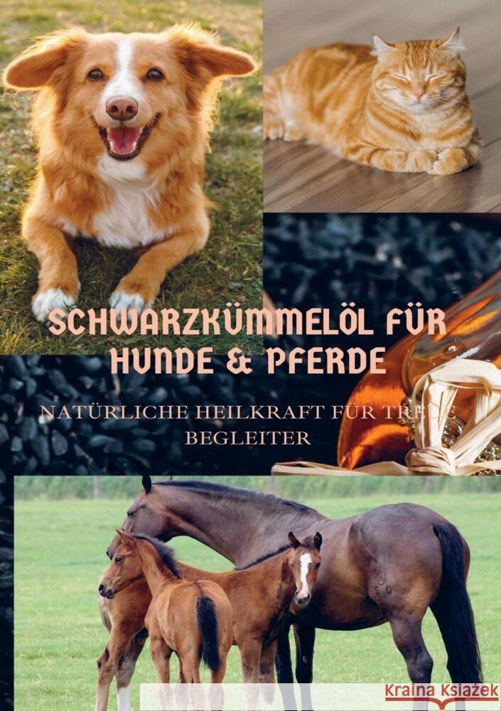 SCHWARZKÜMMELÖL FÜR HUNDE & PFERDE Wolfgang, Sabine 9789403730806 Bookmundo - książka