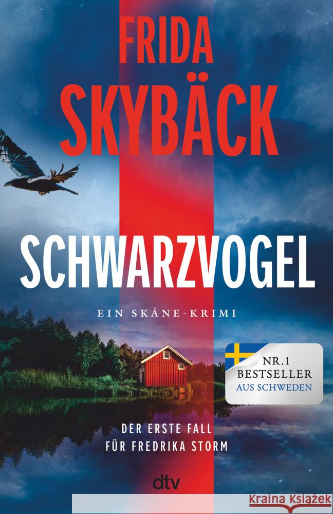 Schwarzvogel Skybäck, Frida 9783423263689 DTV - książka