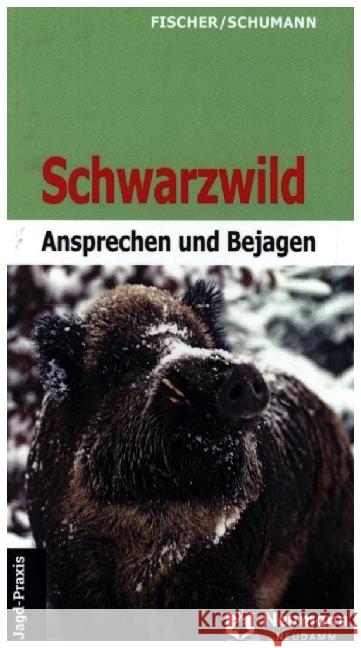 Schwarzwild Fischer, Manfred, Hans-Georg, Schumann 9783788820404 Neumann-Neudamm - książka