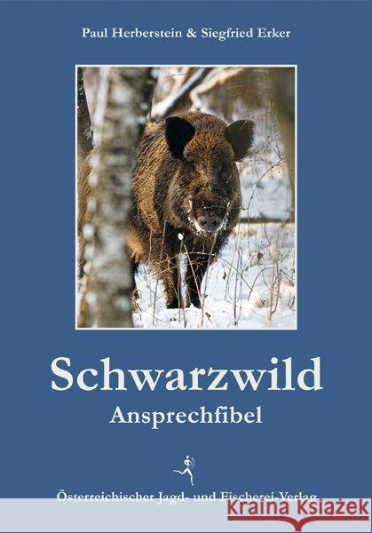 Schwarzwild-Ansprechfibel Erker, Siegfried; Herberstein, Paul 9783852080987 Österreichischer Jagd- und Fischerei-Verlag - książka