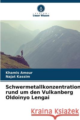 Schwermetallkonzentrationen rund um den Vulkanberg Oldoinyo Lengai Amour, Khamis, Kassim, Najat 9786202424400 Verlag Unser Wissen - książka