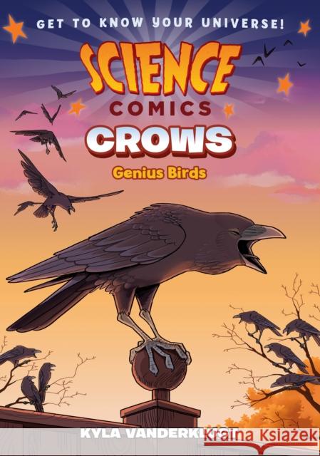 Science Comics: Crows: Genius Birds Kyla Vanderklugt 9781626728028 First Second - książka