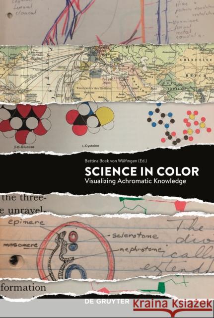 Science in Color : Visualizing Achromatic Knowlegde Bettina Boc 9783110604689 de Gruyter - książka