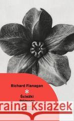 Ścieżki północy Flanagan Richard 9788383961484 CZARNE - książka