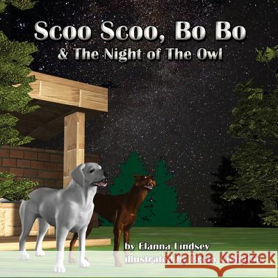 Scoo Scoo, Bo Bo and the Night Owl Elanna Lindsey Brian Compton 9781502382146 Createspace - książka