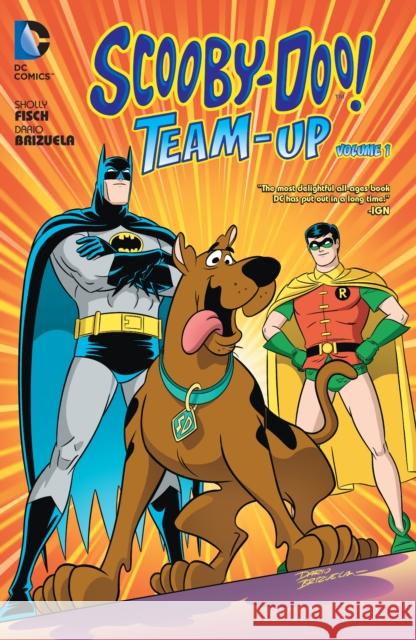 Scooby-Doo Team-Up Sholly Fisch Dario Brizuela 9781401249465 DC Comics - książka