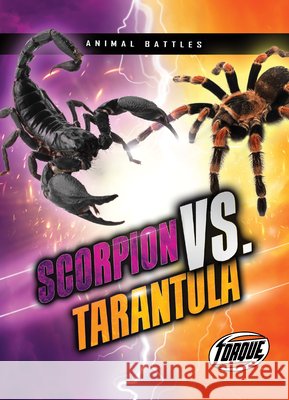 Scorpion vs. Tarantula Thomas K. Adamson 9781644874622 Torque - książka
