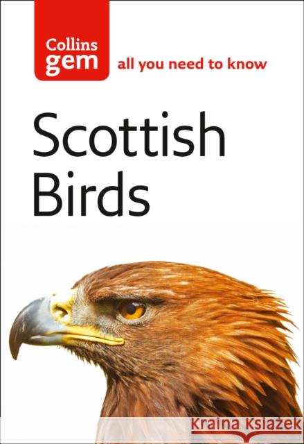 Scottish Birds Valerie Thom 9780007207695 HarperCollins Publishers - książka