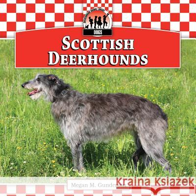 Scottish Deerhounds Megan M. Gunderson 9781617835926 Checkerboard Books - książka