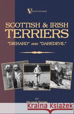 Scottish Terriers and Irish Terriers - Scottie Diehard and Irish Daredevil (a Vintage Dog Books Breed Classic) Haynes, Williams 9781846640544 Vintage Dog Books - książka