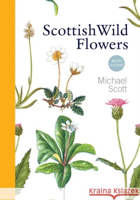 Scottish Wild Flowers: Mini Guide Scott, Michael 9781841589541 Birlinn General - książka