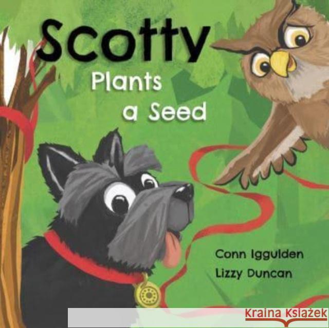 Scotty Plants A Seed Conn Iggulden 9781916205475 Little Door Books - książka