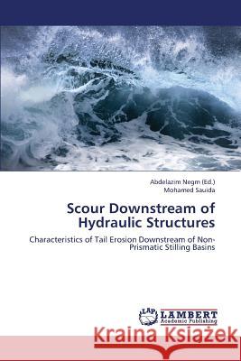 Scour Downstream of Hydraulic Structures Sauida Mohamed                           Negm Abdelazim 9783846514757 LAP Lambert Academic Publishing - książka