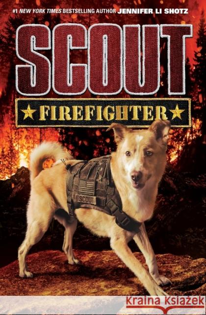 Scout: Firefighter Jennifer Shotz 9780062802613 HarperCollins - książka