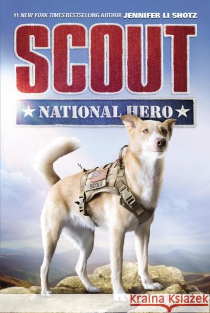 Scout: National Hero Jennifer Shotz 9780062802477 HarperCollins - książka