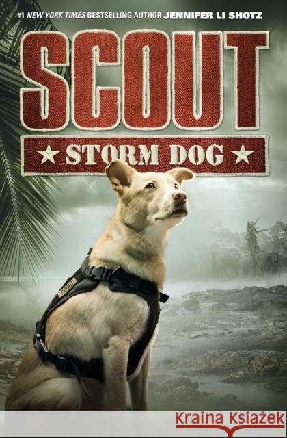 Scout: Storm Dog Jennifer Li Shotz 9780062802644 HarperCollins - książka