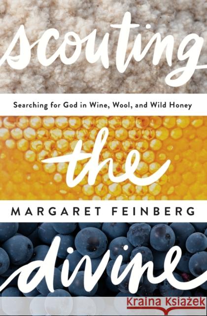 Scouting the Divine: Searching for God in Wine, Wool, and Wild Honey Feinberg, Margaret 9780310331544 Zondervan - książka