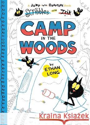 Scribbles and Ink Camp in the Woods Ethan Long 9781609057008 Blue Apple Books - książka