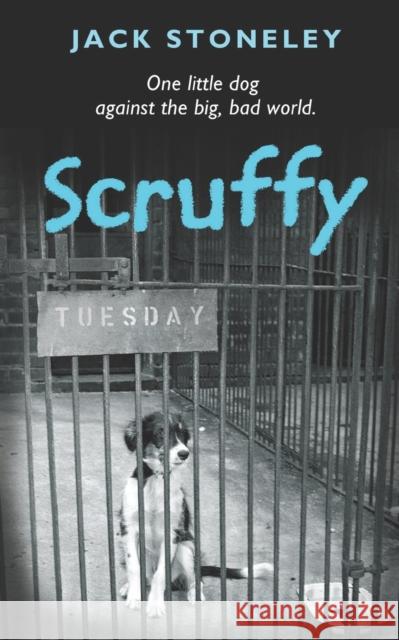 Scruffy: The Tuesday Dog Jack Stoneley 9781900064095 Pilot Productions Ltd - książka