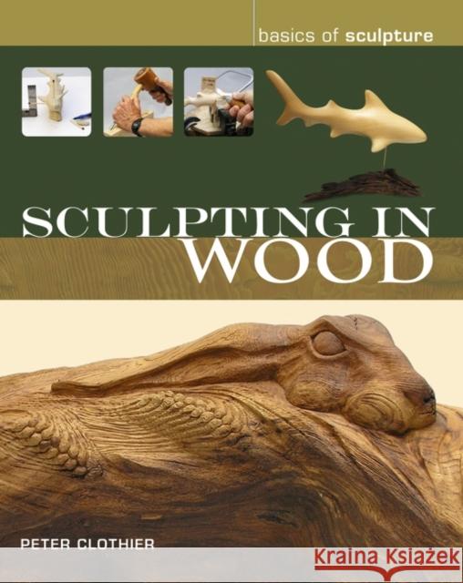 Sculpting in Wood Peter J Clothier 9780713674903  - książka