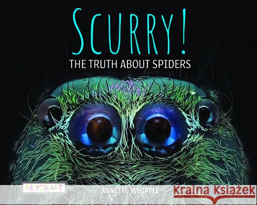 Scurry! the Truth about Spiders Whipple, Annette 9781478870241 Reycraft Books - książka