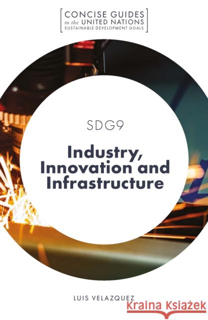 SDG9 - Industry, Innovation and Infrastructure Luis Velazquez (University of Sonora, Mexico) 9781801171342 Emerald Publishing Limited - książka