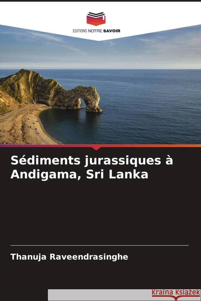 Sédiments jurassiques à Andigama, Sri Lanka Raveendrasinghe, Thanuja 9786205065501 Editions Notre Savoir - książka