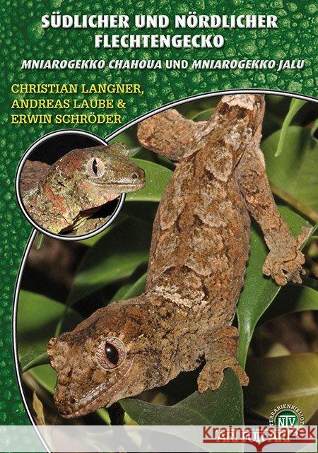 Südlicher und Nördlicher Flechtengecko : Mniarogekko chahoua und Mniarogekko jalu Langner, Christian; Laube, Andreas; Schröder, Erwin 9783866593657 Natur und Tier-Verlag - książka