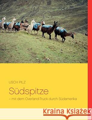 Südspitze: - mit dem Overland-Truck durch Südamerika Pilz, Usch 9783837049206 Bod - książka