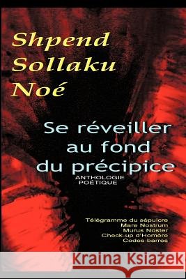 Se Reveiller Au Fond Du Precipice Shpend Sollaku No 9781463402952 Authorhouse - książka