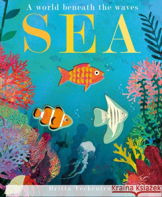 Sea: A World Beneath the Waves Patricia Hegarty 9781788816298 Little Tiger Press Group - książka