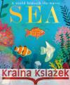 Sea: A World Beneath the Waves Patricia Hegarty 9781788816298 Little Tiger Press Group