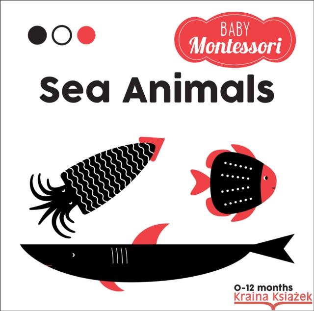 Sea Animals: Baby Montessori  9788854417526 White Star - książka