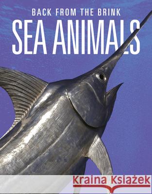 Sea Animals: Back from the Brink Joanne Mattern 9781644668337 Black Rabbit Books - książka