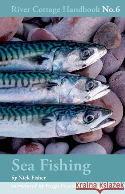 Sea Fishing Nick Fisher 9781408801833 Bloomsbury Publishing PLC - książka