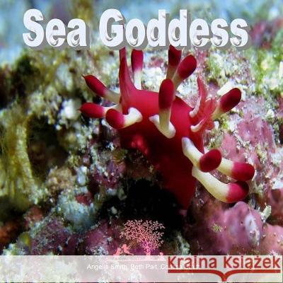 Sea Goddess Angelia M. Smith Beth Pait Corissa Smith 9781530876082 Createspace Independent Publishing Platform - książka