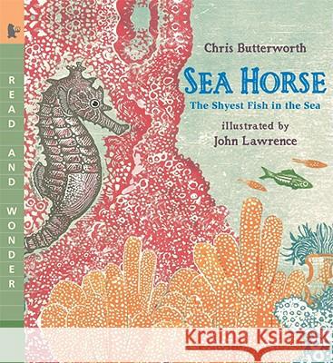 Sea Horse: The Shyest Fish in the Sea Chris Butterworth John Lawrence 9780763641405 Candlewick Press (MA) - książka