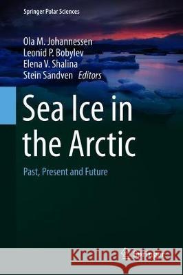Sea Ice in the Arctic: Past, Present and Future Johannessen, Ola M. 9783030213008 Springer - książka