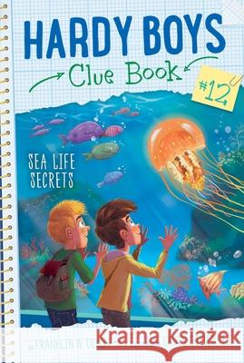 Sea Life Secrets Franklin W. Dixon Santy Gutierrez 9781534442580 Aladdin Paperbacks - książka