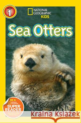 Sea Otters Laura Marsh 9781426317514 National Geographic Society - książka
