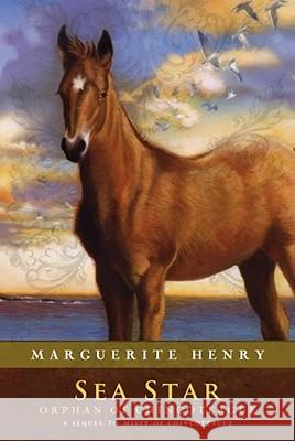 Sea Star: Orphan of Chincoteague Marguerite Henry Wesley Dennis 9781416927846 Aladdin Paperbacks - książka